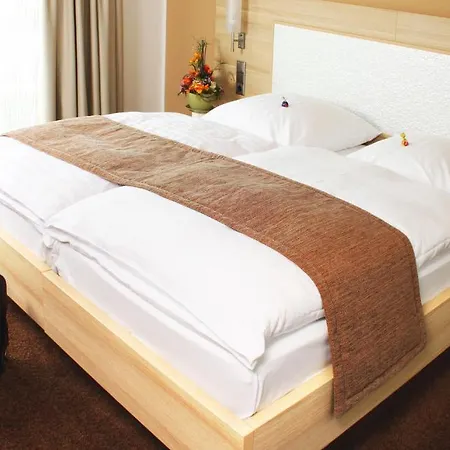 Schuetzenhof Hotel 3*